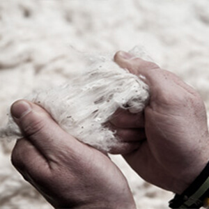 What You Should Know In Cotton Purchase – Quality Inspection Of Lint