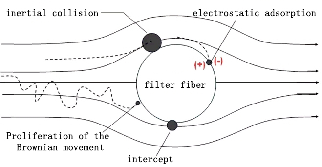 Fiber filtration mechanism